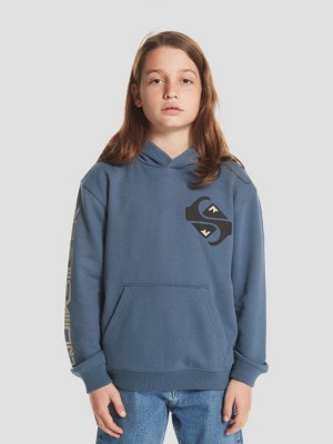 Quiksilver Color Flow Sudadera con Capucha comprar en Blue Tomato